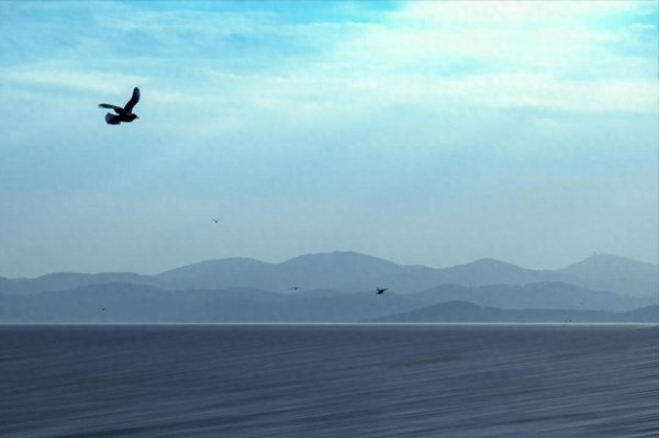 今日配资 炒股一旦开了窍，人生就像悟了道，此文值得散户反复阅读，精辟！